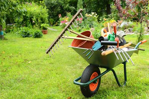 Wheelbarrow loaded with rakes, forks and hand tools on a garden lawn