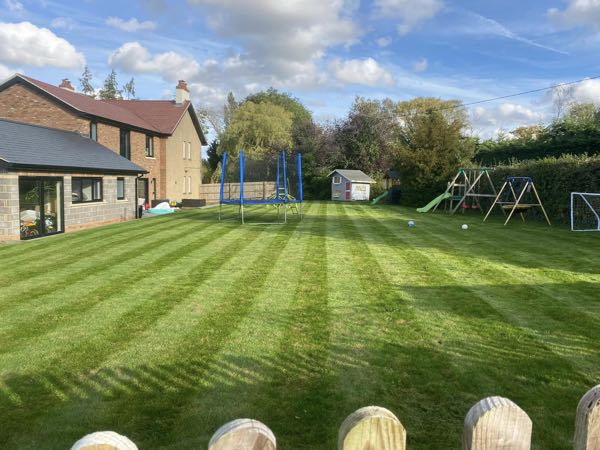 Large family lawn mown in stripes around a trampoline and climbing frame, Bedford