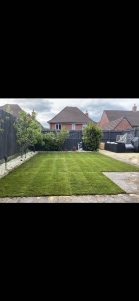 Newly laid turf forming a crisp rectangular lawn in a new-build back garden near Bedford